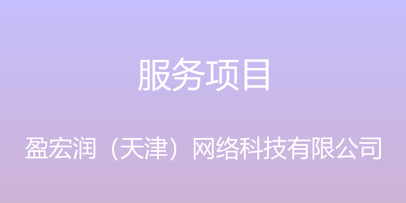 服务项目 - 盈宏润（天津）网络科技有限公司