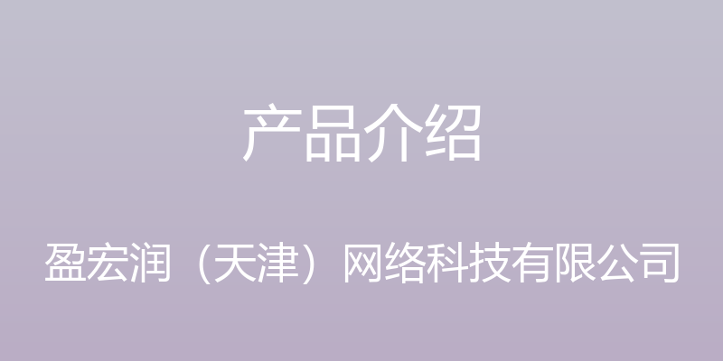 产品介绍 - 盈宏润（天津）网络科技有限公司