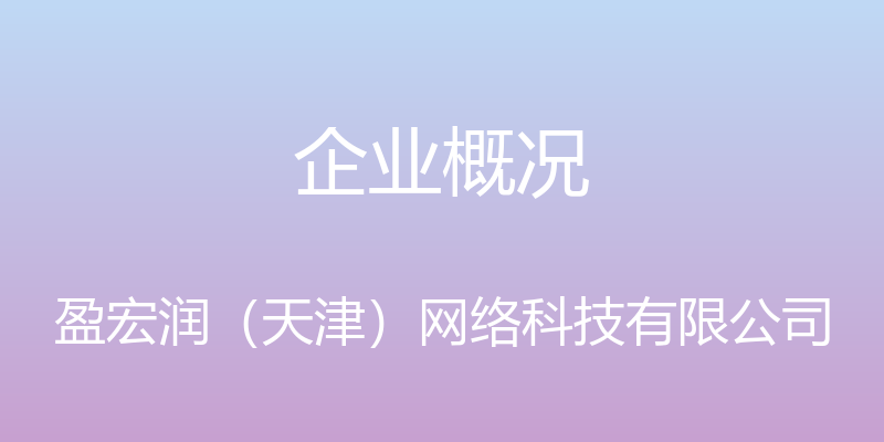 企业概况 - 盈宏润（天津）网络科技有限公司