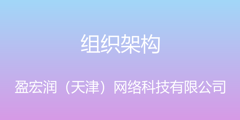 组织架构 - 盈宏润（天津）网络科技有限公司